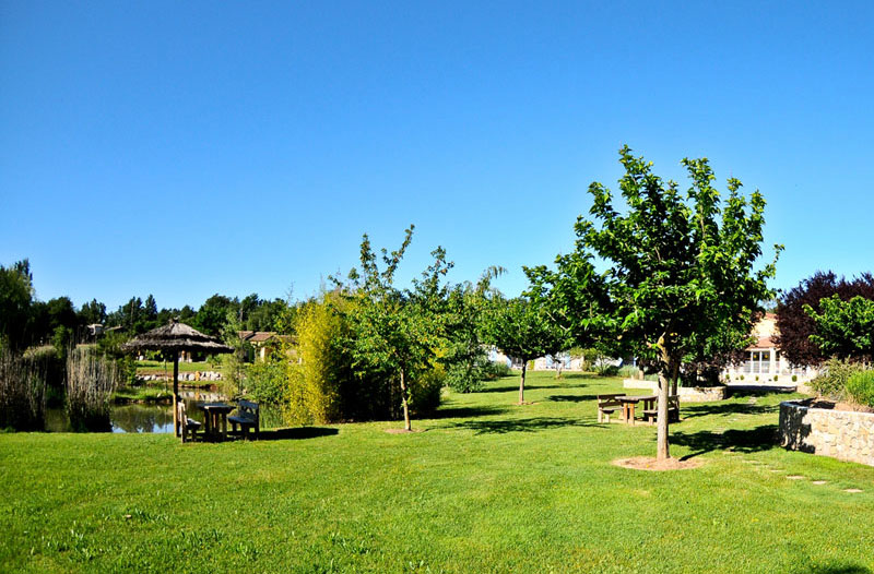 parc arbore fayence